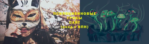 PSILOCYBIN Алзамай