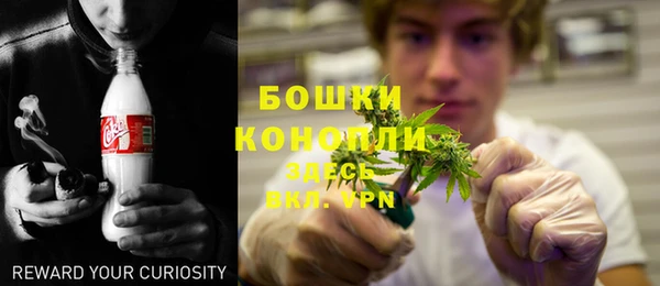 PSILOCYBIN Алзамай