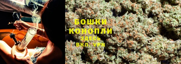 ГАЛЛЮЦИНОГЕННЫЕ ГРИБЫ Нефтекумск