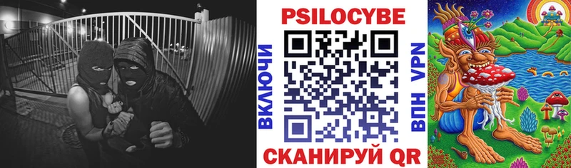 Галлюциногенные грибы Magic Shrooms  Минусинск 